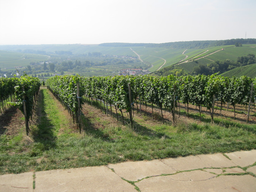 Ausflug (2013)