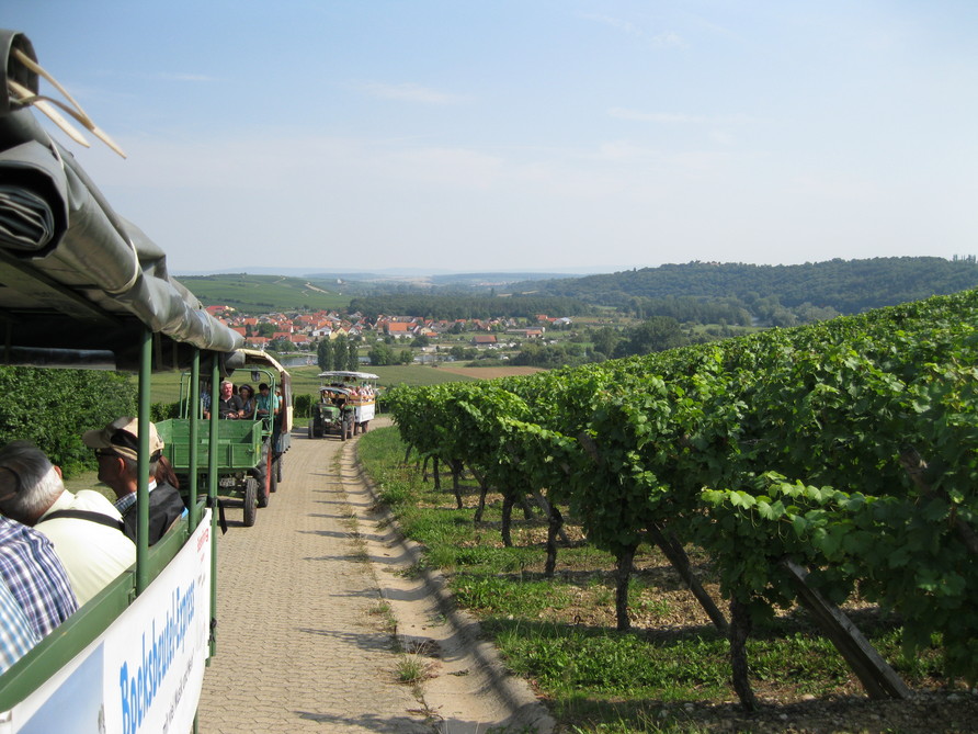 Ausflug (2013)