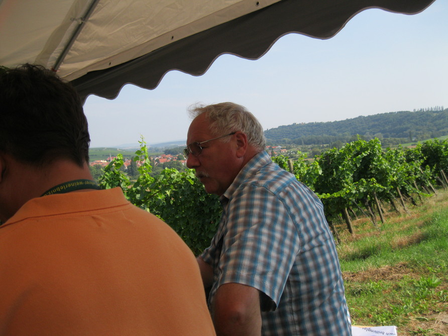Ausflug (2013)