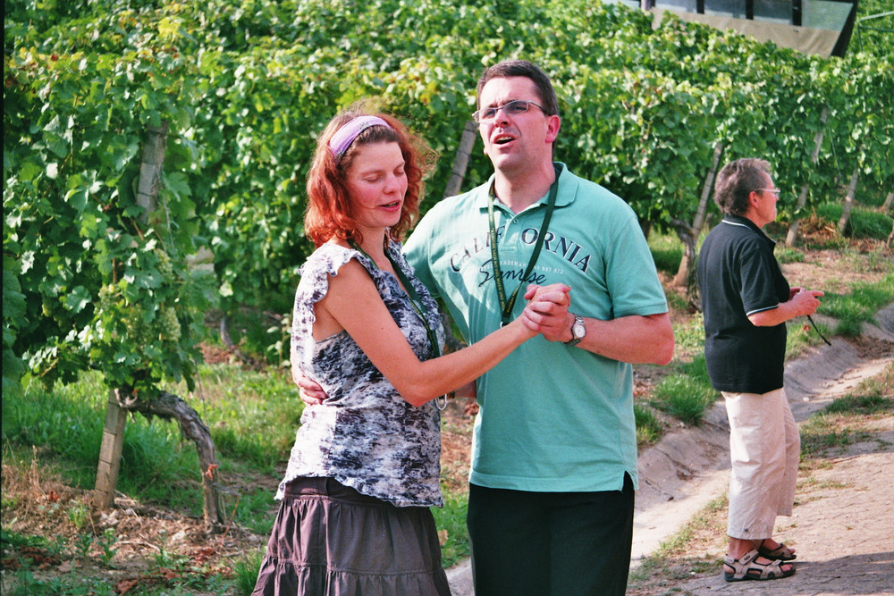 Ausflug (2013)